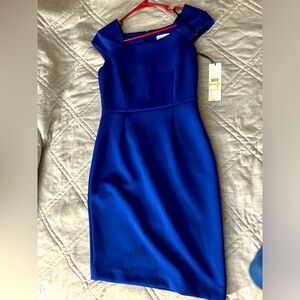 Calvin Klein Size 4 Dress New With Tags
